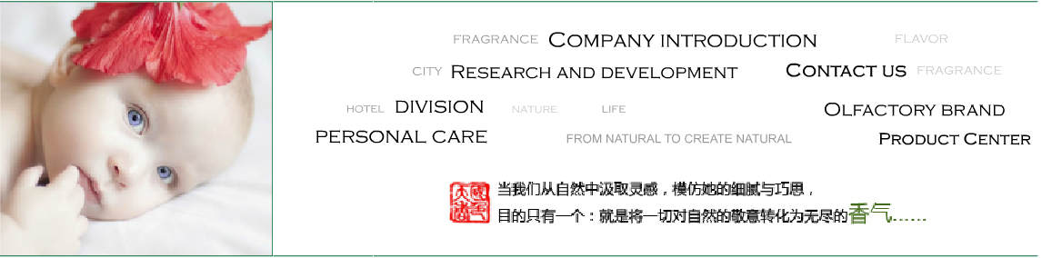 公司全景圖